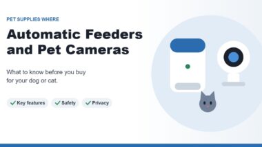 Illustration of an automatic pet feeder, a pet camera, and a cat