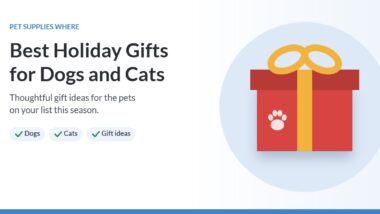 Illustration of a red gift box with a paw print