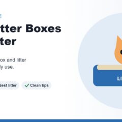 Illustration of an orange cat sitting in a blue litter box