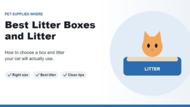 Illustration of an orange cat sitting in a blue litter box