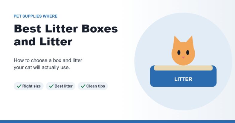 Illustration of an orange cat sitting in a blue litter box