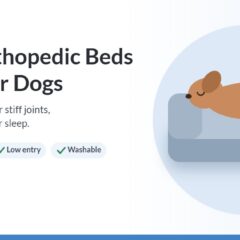 Illustration of a dog sleeping on an orthopedic bed