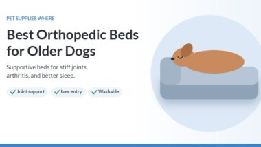 Illustration of a dog sleeping on an orthopedic bed