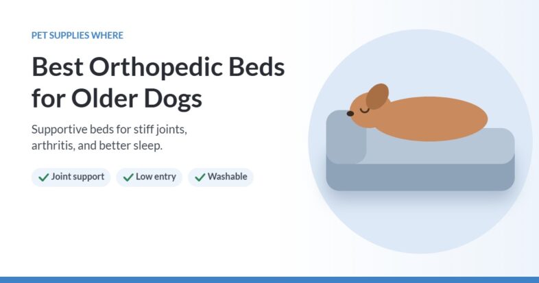 Illustration of a dog sleeping on an orthopedic bed