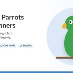 Illustration of a green parrot on a perch