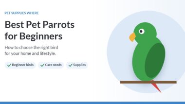Illustration of a green parrot on a perch