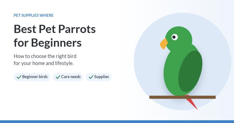 Illustration of a green parrot on a perch