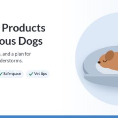 Illustration of a dog sleeping curled up in a round calming bed
