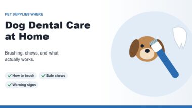 Illustration of a dog with a toothbrush and a clean white tooth