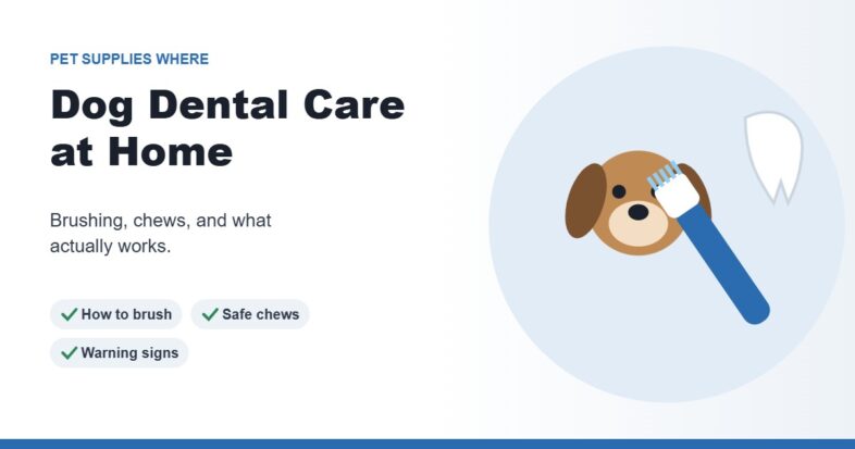 Illustration of a dog with a toothbrush and a clean white tooth