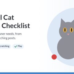 Illustration of a gray cat sitting beside a sisal scratching post