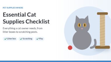 Illustration of a gray cat sitting beside a sisal scratching post