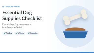 Illustration of a dog bowl and a bone