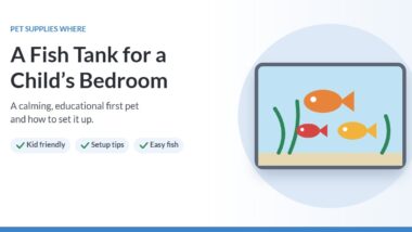 Illustration of a small fish tank with colorful fish and plants