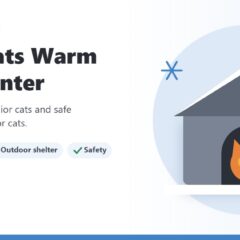 Illustration of an orange cat peeking out of a snowy outdoor cat house