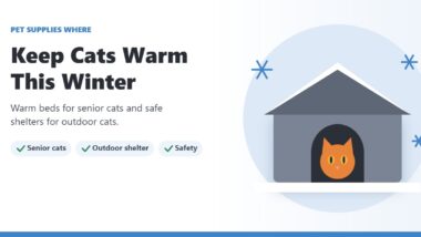 Illustration of an orange cat peeking out of a snowy outdoor cat house