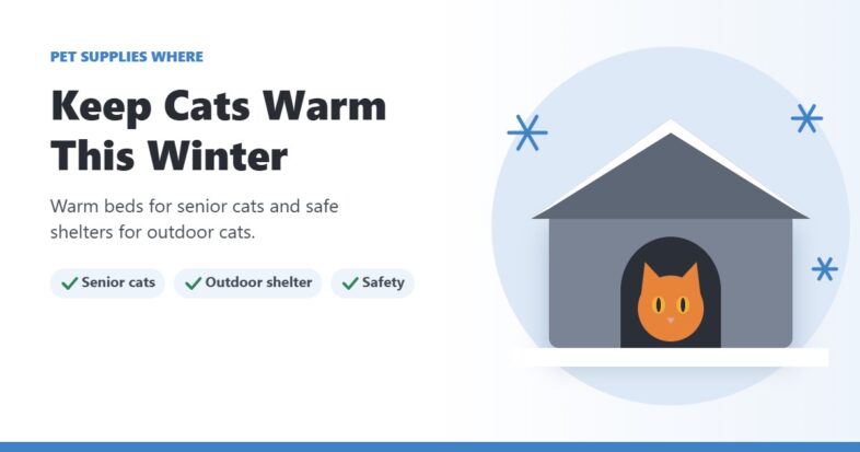 Illustration of an orange cat peeking out of a snowy outdoor cat house