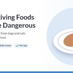 Illustration of a holiday plate of turkey with a warning sign
