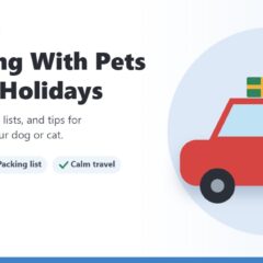 Illustration of a dog riding in the back seat of a red car with a gift on the roof
