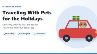 Illustration of a dog riding in the back seat of a red car with a gift on the roof