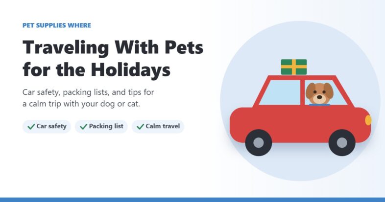 Illustration of a dog riding in the back seat of a red car with a gift on the roof