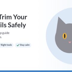 Illustration of a gray cat and nail clippers