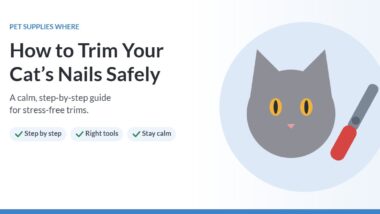 Illustration of a gray cat and nail clippers