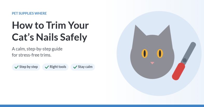 Illustration of a gray cat and nail clippers