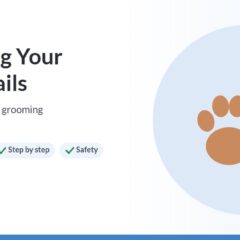 Illustration of a dog paw and nail clippers