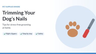 Illustration of a dog paw and nail clippers